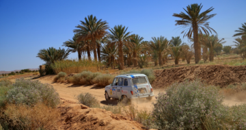 4L traversant une oasis dans le désert marocain