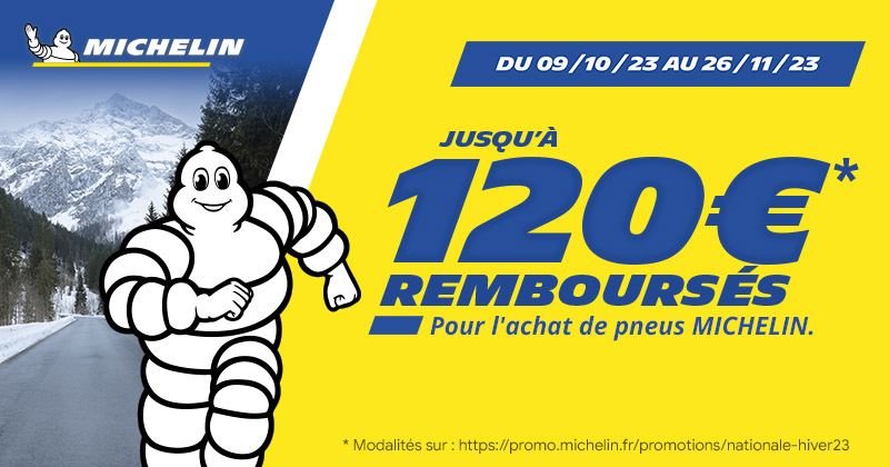 Garage Michelin en bois + 2 voitures