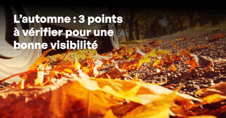 3 points pour améliorer la visibilité au volant en automne